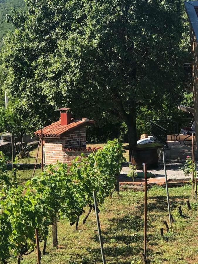 T-A Apartment Rijeka Crnojevića Dış mekan fotoğraf
